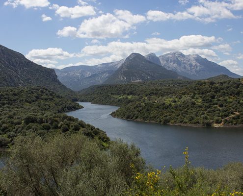 wild Sardinia
