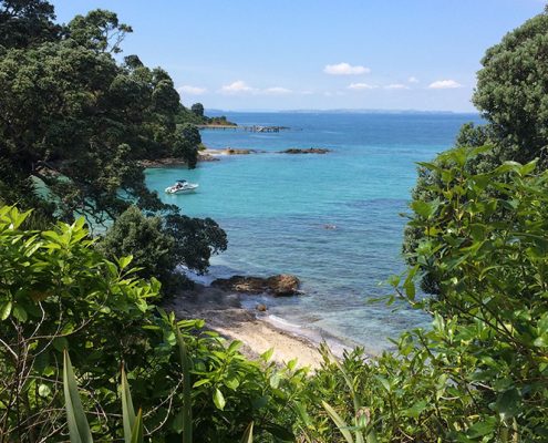 Hobbs Beach, Tiritiri Matangi